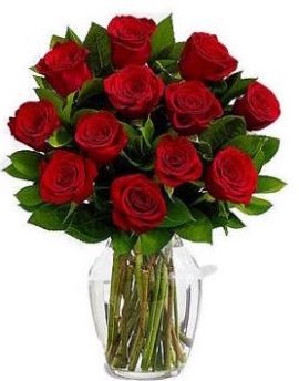 Enviar doce rosas rojas a Estados Unidos